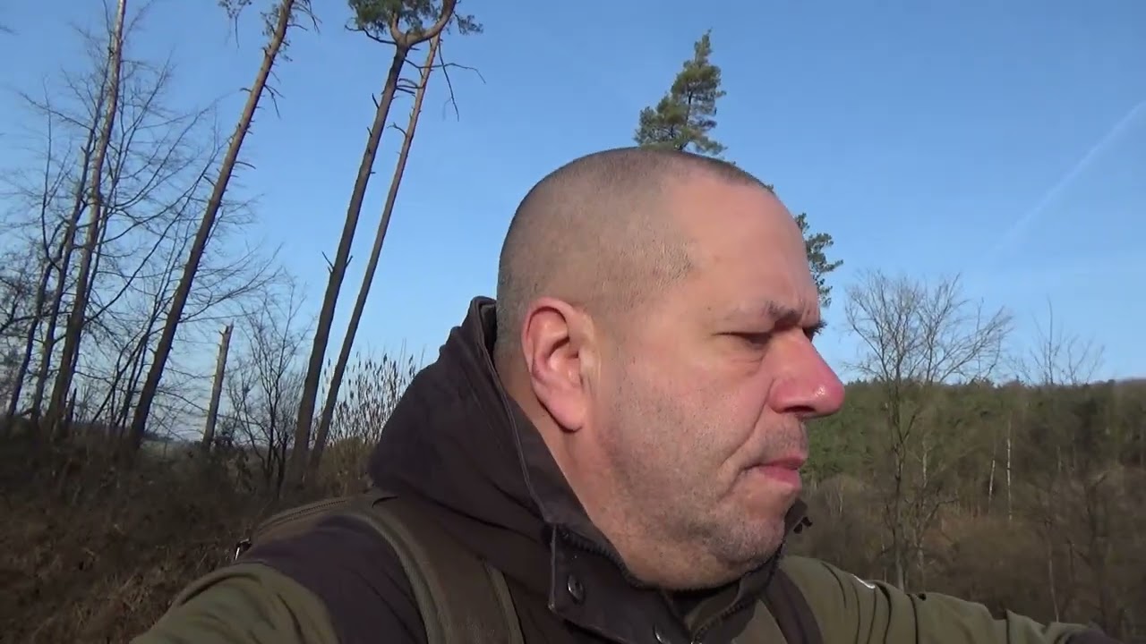 Wolfstalk vom 08.03.2026