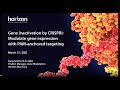 Gene Inactivation By CRISPRi Modulate Gene Expression With PAM Anchored Targeting 