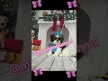#shitzu #shitzu_lover #filhotes #criadora #veterinária #blogueira #dogs