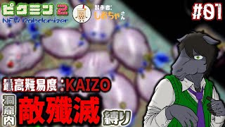 【ピクミン2 New Randomizer】洞窟内敵殲滅縛りに挑戦： 01【EquuStream V#438】