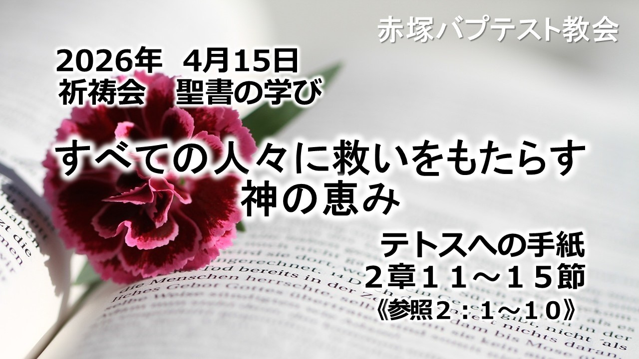 テモテへの手紙1、2・テトスへの手紙 (現代聖書注解) テサロニケの信徒への手紙1、2 (現代聖書注解) | B.R. ガヴェンタ