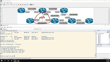 OSPF Authentication Types