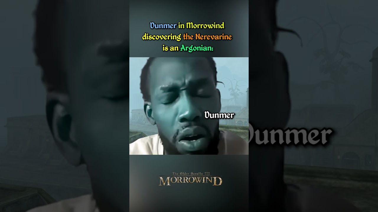 Morrowind - Relatable and Funny pt50
