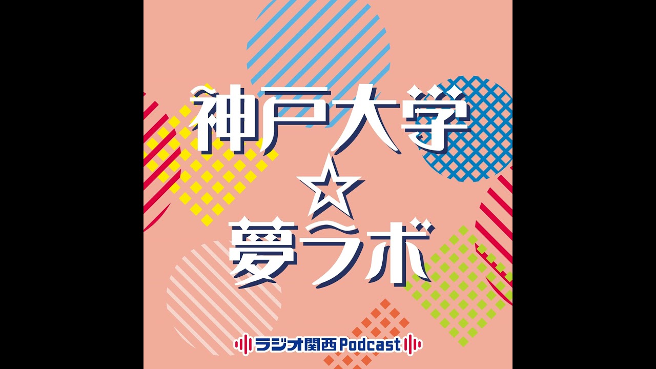 #153　小堀康博　分子フォトサイエンス研究センター教授(2)