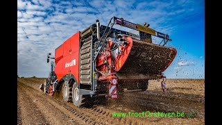 Dewulf Enduro Zelfrijdende 4-Rij Zeefbandrooier Bij Erik Robeyns Herstappe