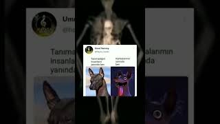 İnstagram - Twitter video #208 #tiktok #twitter #akımı Resimi