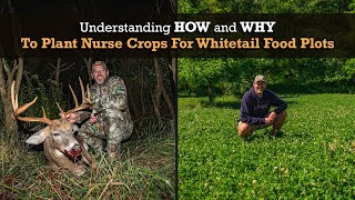 Understanding How and Why To Plant Nurse Crops For Whitetail Food Plots