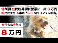 【住民税非課税世帯へ3万円給付＋特別給付金5万円】政府 岸田首相「地方創生臨時交付金の特別枠 検討」国民民主党 玉木雄一郎代表 一律給付金 提言「2-3万円のインフレ手当」