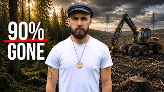 They are cutting down our forest