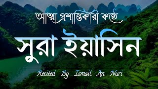 প্রতিদিন সকালে শুনুন - সূরা ইয়াসীন || سورة يس  SURAH Yasin | সকালের সেরা কোরআন | By Ismail an nuri