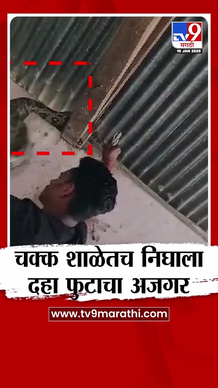 Jalgaon |  चक्क जिल्हा परिषदेच्या शाळेत निघाला 10 फुटाचा अजगर