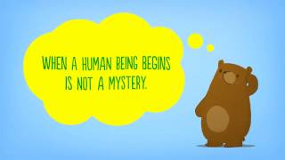 The Birds & The Bees | The Basic Buzz