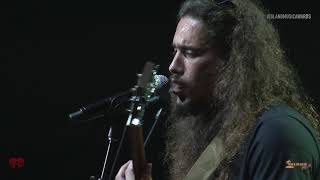 Landon Mcnamara  Loss For Words  At The 2018 Island  Awards