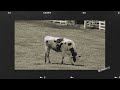 浦上想起「抜け出せ!」ミュージックビデオ