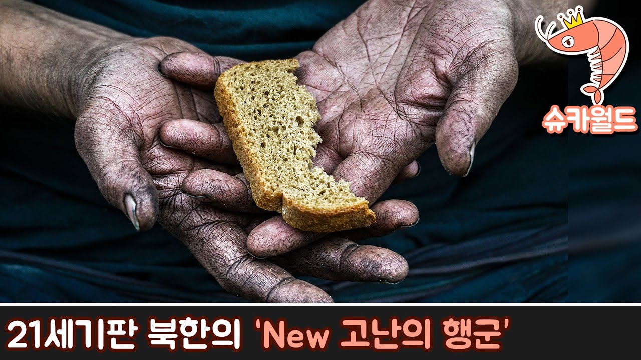 21세기 다시 등장한 북한의