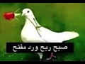 روم صبح ربح ورد مفتح المحترم