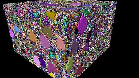 Cortical layer 4 connectomic reconstruction colored