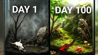 Simulating a tropical Forest for 100 Days