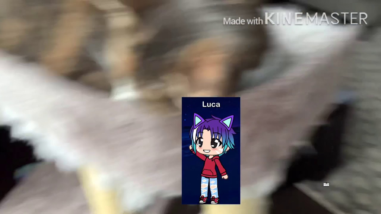 Cat jungkook YouTube