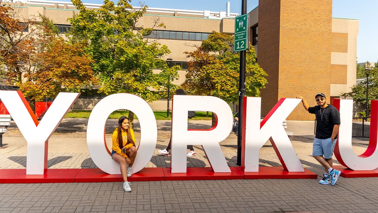 We Asked York U Students What Program They Are In and Why (Part II