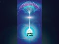 Interesting Facts About Space: This Fast Radio Burst Definitely Came From a Neutron Star