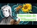 ¿Qué es la SUCESIÓN DE FIBONACCI? - La belleza MATEMÁTICA de la NATURALEZA - Explicación sencilla