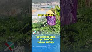 Du lịch sức khỏe tại Lâm Đồng tại sao không?