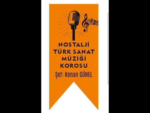 FAZİLET ALEVKAYA-UNUTTUN MU