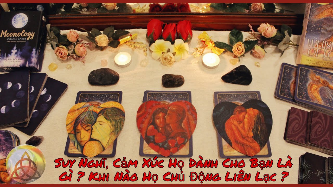 Họ Nghĩ Gì ? Cảm Xúc Của Họ Về Bạn ? Khi Nào Họ Chủ Động Liên Lạc ? *Chọn Tụ Bài* Timeless