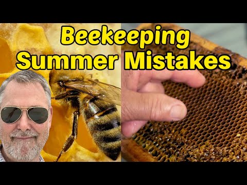 Beekeeping S Top 10 Big Time Summer Mistakes