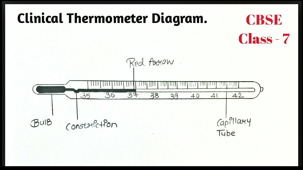 labeled diagram of a thermometer