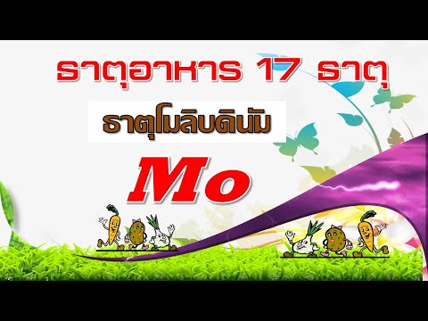 วีดีโอ: โมลิบดีนัมและพืช - ความสำคัญของโมลิบดีนัมสำหรับการเจริญเติบโตของพืช