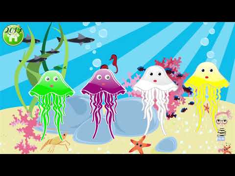 طفل يمرح تعليم الألوان للاطفال بالانجليزي مع الحيوانات البحرية Children Teach Colors 