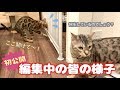 2ndチャンネルの編集中の様子をお見せします