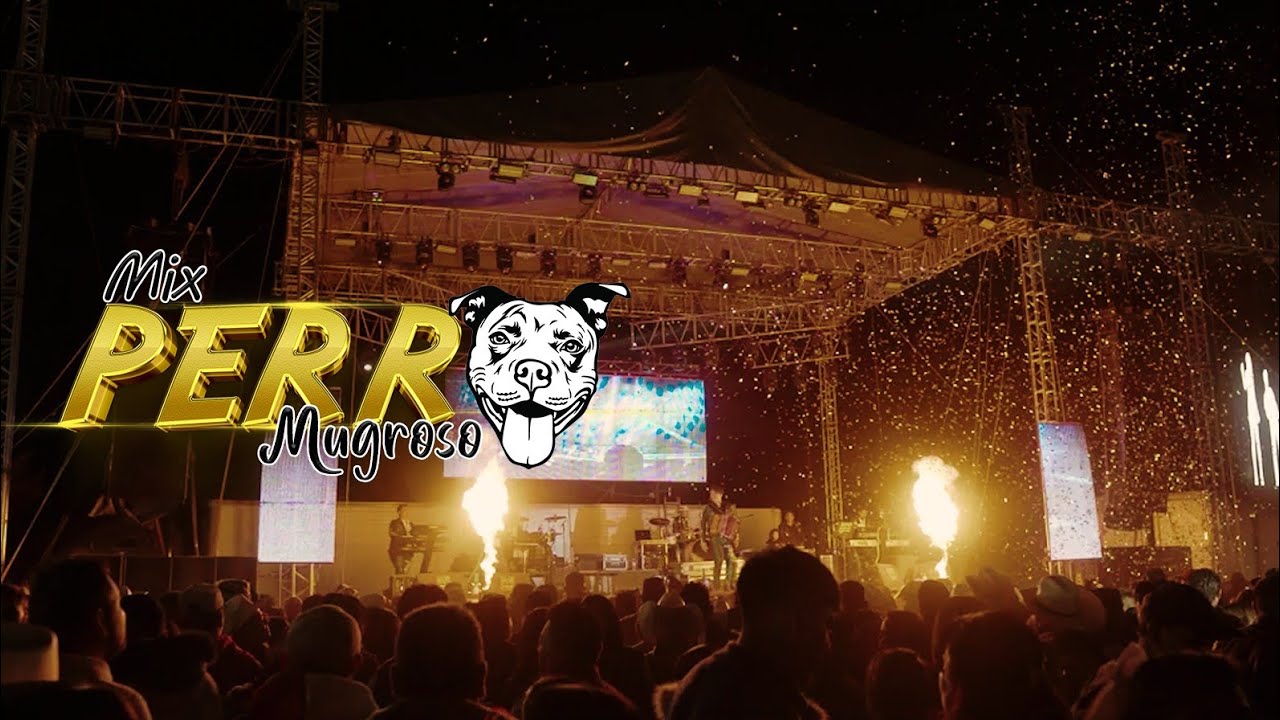 Mix Perro Mugroso Grupo Distinguido En Vivo