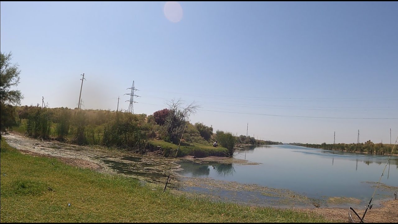 Baliq ovi.Sarkisov.Sho`r o`zak.25.08.2025y.