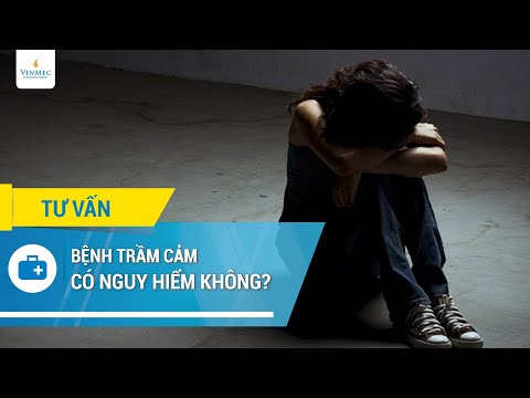 Video: Làm thế nào để hiểu về bệnh trầm cảm (có hình ảnh)