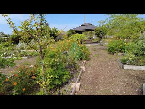 South Florida food forest and community garden tour