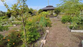 South Florida  food forest and community garden tour
