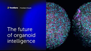 Thomas Hartung and colleagues | The future of organoid intelligence | Frontiers Forum Deep Dive 2023 screenshot 1