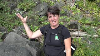 Woodrat Research