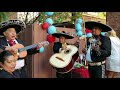 Mariachis  varias