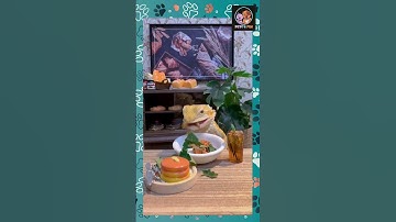 bearded dragon: Gourmet feast  #beardeddragon #bearded #beardeddragonlover #exotic #animallover