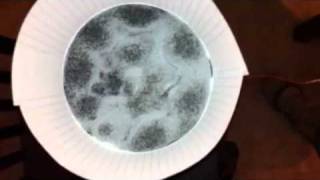 Cymatic experiment #1