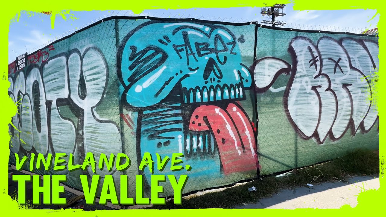 Los Angeles Graffiti - VANDALS ON VINELAND - Hollywood Havoc
