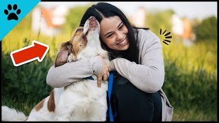THAT'S Why Some Dogs Are More CLINGY Than Others! by Dogtube 134 views 10 months ago 1 minute, 38 seconds