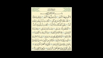 Al Balad, Mohamed Kantaoui سورة البلد، بصوت القارىء الشيخ محمد الكنتاوي