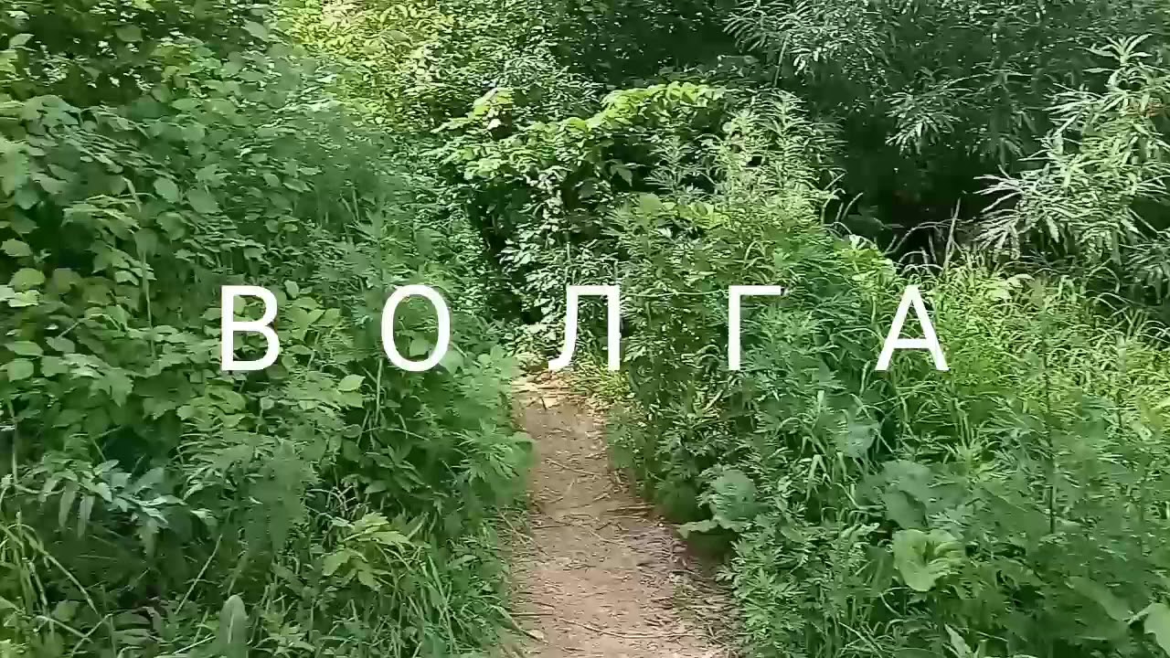 Волга матушка почему