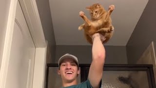 The Ways I Hold Kurt