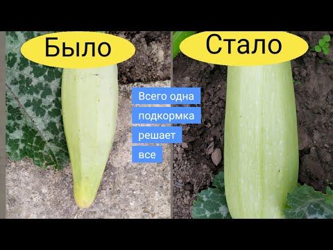 Qizning yuziga kop keldim